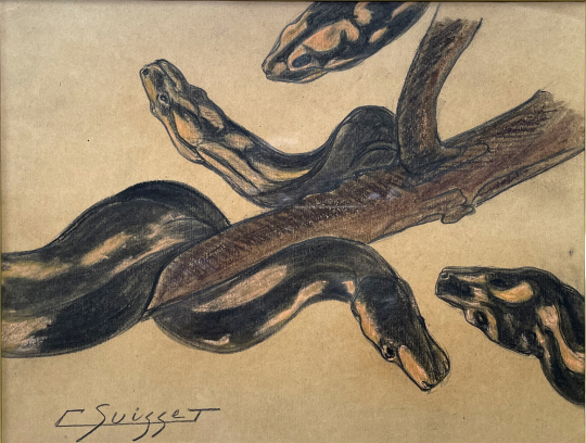 Gaston SUISSE (1896-1988) - Étude de pythons